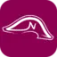 Napoleon Casino logo